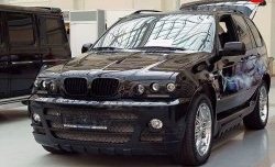 4 899 р. Комплект противотуманных фар в передний бампер Тарантул на BMW X5 E53 дорестайлинг (1999-2003)  с доставкой в г. Омск. Увеличить фотографию 2