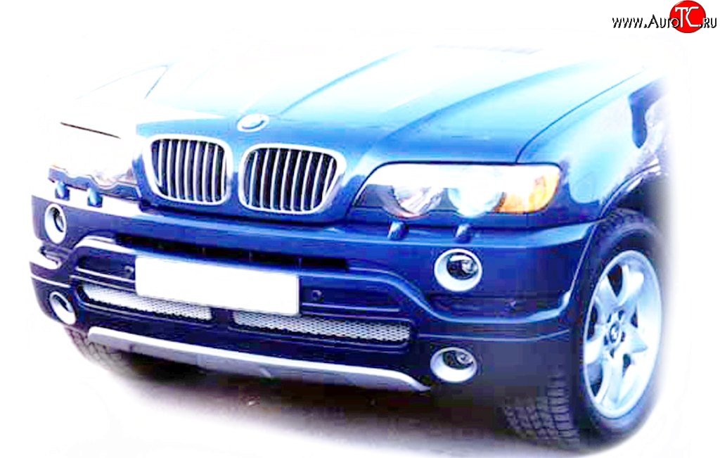 119 р. Накладка AS Concept на передний бампер BMW X5 E53 дорестайлинг (1999-2003) (Неокрашенная)  с доставкой в г. Омск