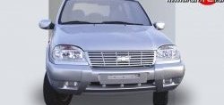 499 р. Накладки на зеркала Кураж 2 до 2005 года  Chevrolet Niva  2123 (2002-2008), Лада 2123 (Нива Шевроле) (2002-2008) (Неокрашенные)  с доставкой в г. Омск. Увеличить фотографию 1