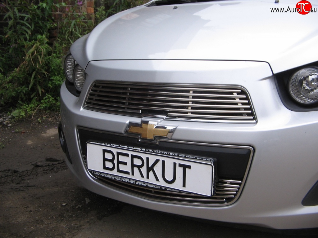 4 399 р. Декоративная вставка решетки радиатора Berkut Chevrolet Aveo T300 хэтчбек (2011-2015)  с доставкой в г. Омск