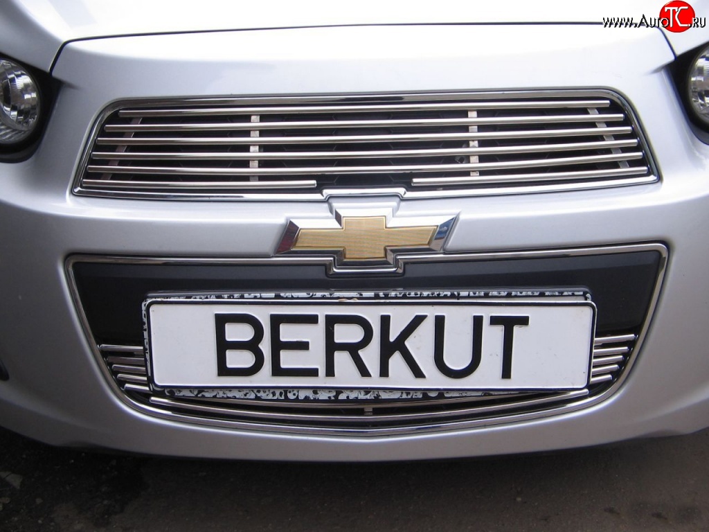 3 999 р. Декоративная вставка воздухозаборника Berkut Chevrolet Aveo T300 седан (2011-2015)  с доставкой в г. Омск