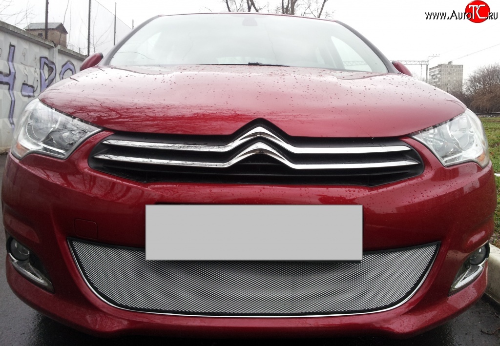 1 539 р. Сетка на бампер (хетчбек) Russtal (хром)  CITROEN C4  B7 (2011-2018) хэтчбэк 5 дв.  с доставкой в г. Омск