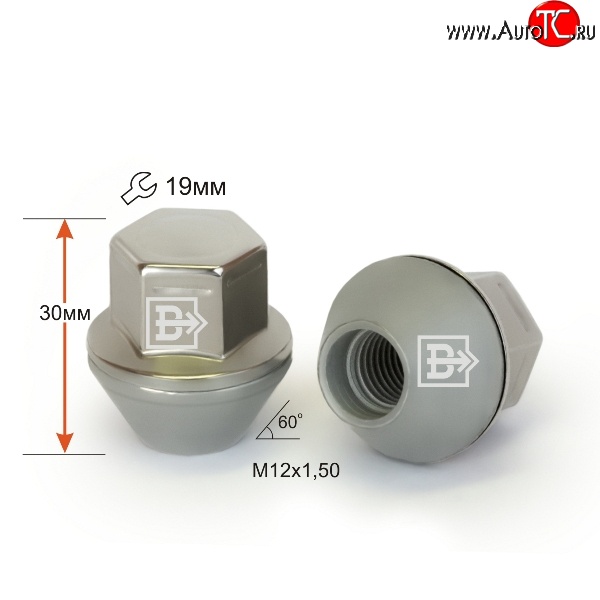 279 р. Колёсная гайка Вектор M12 1.5    с доставкой в г. Омск