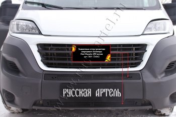 Защитная сетка решетки переднего бампера RA Fiat Ducato 290 (2014-2024)