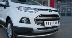 13 799 р. Одинарная защита переднего бампера диаметром 63 мм SLITKOFF Ford EcoSport дорестайлинг (2013-2019)  с доставкой в г. Омск. Увеличить фотографию 3