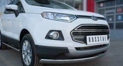 15 649 р. Защита переднего бампера (Ø75х42 мм, нержавейка) Russtal Ford EcoSport дорестайлинг (2013-2019)  с доставкой в г. Омск. Увеличить фотографию 2