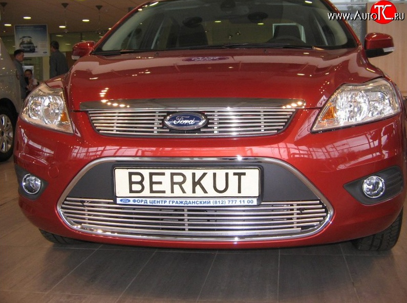 4 999 р. Декоративная вставка решетки радиатора Berkut Ford Focus 2 седан рестайлинг (2007-2011)  с доставкой в г. Омск