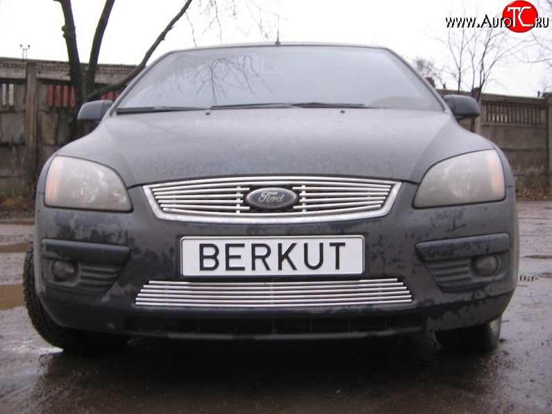 4 999 р. Декоративная вставка решетки радиатора Berkut Ford Focus 2  седан дорестайлинг (2004-2008)  с доставкой в г. Омск