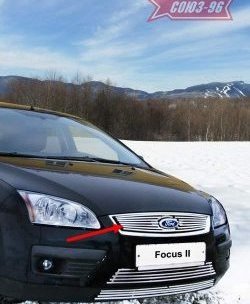 Декоративный элемент решетки радиатора Souz-96 (d10) Ford Focus 2 хэтчбэк 3 дв. дорестайлинг (2004-2007)