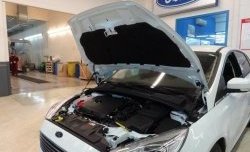 2 199 р. Газовые упоры капота Berkut Ford Focus 3 универсал дорестайлинг (2010-2015)  с доставкой в г. Омск. Увеличить фотографию 1