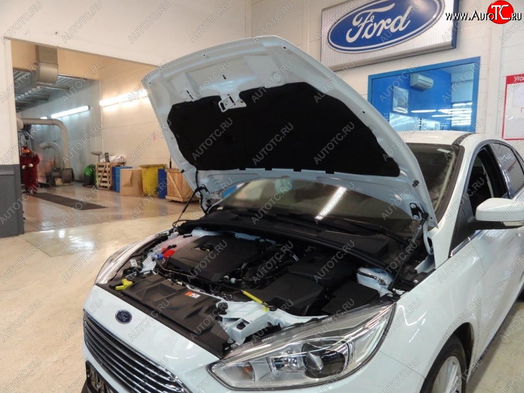 2 199 р. Газовые упоры капота Berkut  Ford Focus  3 (2010-2015) универсал дорестайлинг, хэтчбэк дорестайлинг, седан дорестайлинг  с доставкой в г. Омск