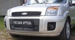 1 599 р. Защитная сетка решетки переднего бампера РА Ford Fusion 1  рестайлинг, хэтчбэк (2005-2012)  с доставкой в г. Омск. Увеличить фотографию 3