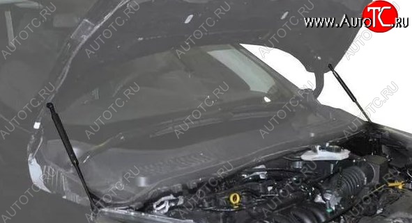 2 199 р. Газовые упоры капота Berkut Ford Kuga 2 рестайлинг (2016-2019)  с доставкой в г. Омск