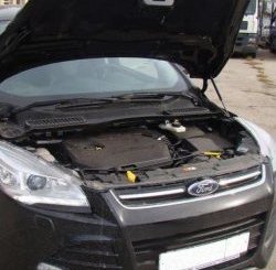 Газовые упоры капота Berkut Ford Kuga 2 дорестайлинг (2013-2016)