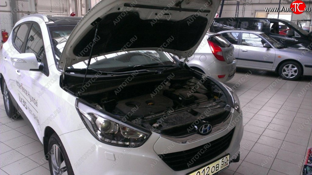 2 199 р. Газовые упоры капота Berkut Hyundai IX35 LM дорестайлинг (2009-2013)  с доставкой в г. Омск