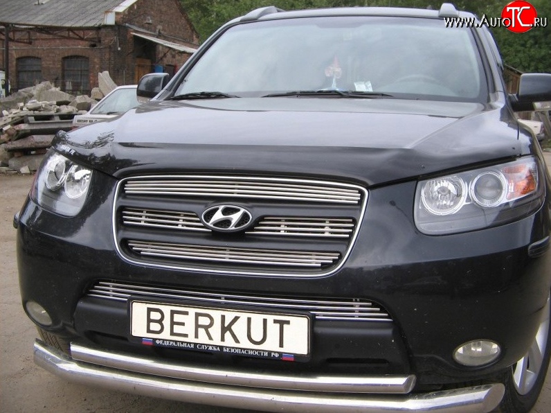 5 999 р. Декоративная вставка решетки радиатора Berkut Hyundai Santa Fe CM дорестайлинг (2006-2009)  с доставкой в г. Омск