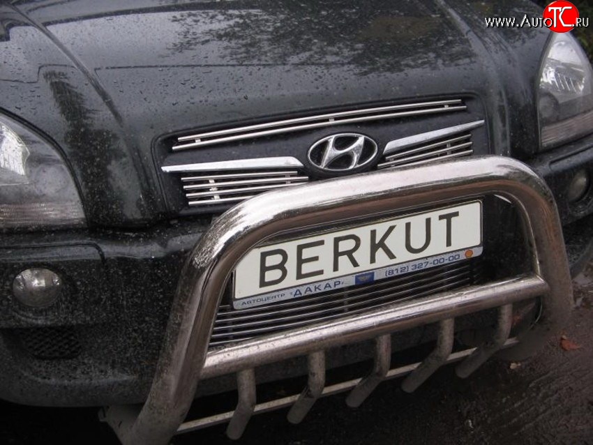 4 799 р. Декоративная вставка воздухозаборника Berkut Hyundai Tucson JM (2004-2010)  с доставкой в г. Омск