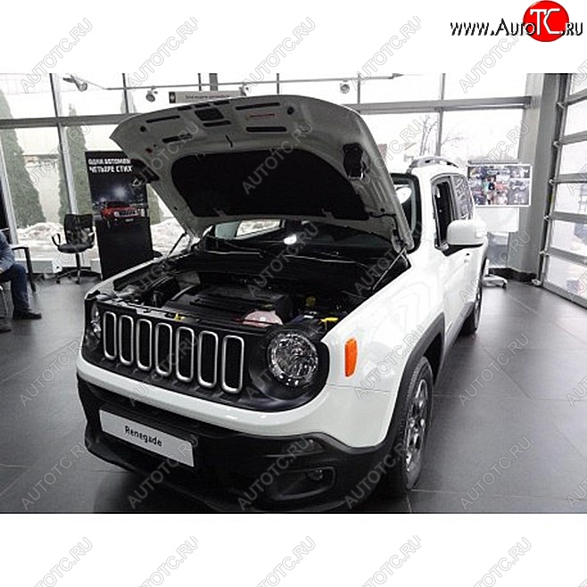 2 049 р. Упоры капота Russtal Jeep Renegade (2015-2025)  с доставкой в г. Омск