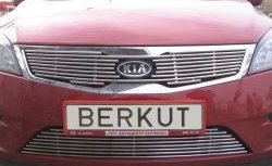 Декоративная вставка решетки радиатора Berkut KIA Ceed 1 ED рестайлинг, хэтчбэк 5 дв. (2010-2012)