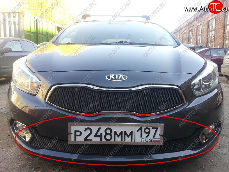 2 099 р. Нижняя защитная сетка на бампер Russtal (черная)  KIA Ceed  1 ED (2010-2012) рестайлинг, хэтчбэк 5 дв.  с доставкой в г. Омск