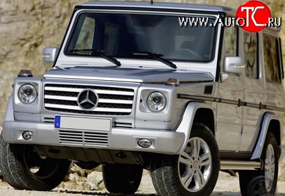 19 199 р. Решётка радиатора AMG Mercedes-Benz G class W463 5 дв. дорестайлинг (1989-1994) (Неокрашенная)  с доставкой в г. Омск