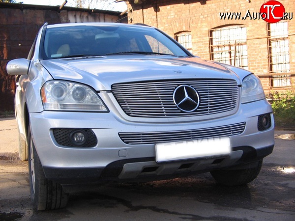 9 399 р. Декоративная вставка решетки радиатора Berkut Mercedes-Benz ML class W164 дорестайлинг (2005-2008)  с доставкой в г. Омск