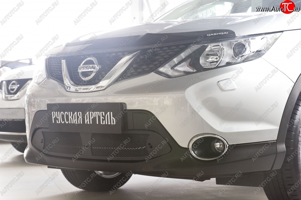 1 859 р. Защитная сетка решетки переднего бампера РА  Nissan Qashqai  2 (2017-2022) J11 рестайлинг  с доставкой в г. Омск