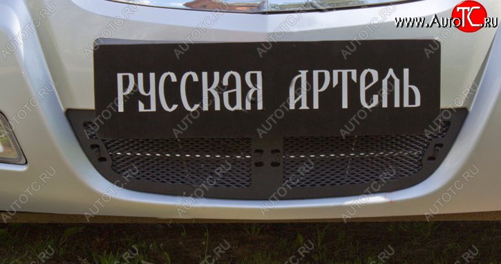 1 539 р. Защитная сетка решетки переднего бампера РА  Nissan Almera Classic  седан (2006-2013) B10  с доставкой в г. Омск