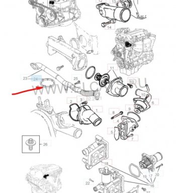 Уплотнительное кольцо маслопровода GM (дв. Z16XEP, к корпусу масляного фильтра) Opel (Опель) Astra (Астра) ( H,  H GTC) (2004-2015) H, H GTC универсал, хэтчбек 3 дв. дорестайлинг, хэтчбек 5дв дорестайлинг, хэтчбек 3 дв. рестайлинг, универсал рестайлинг, хэтчбек 5дв рестайлинг