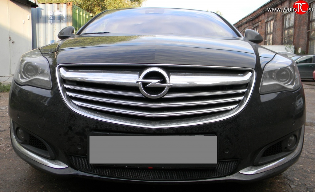 1 469 р. Сетка на бампер (рестайлинг) Russtal (черная) Opel Insignia A дорестайлинг седан (2008-2013)  с доставкой в г. Омск