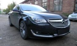 1 539 р. Сетка на бампер (рестайлинг) Russtal (хром) Opel Insignia A дорестайлинг седан (2008-2013)  с доставкой в г. Омск. Увеличить фотографию 2