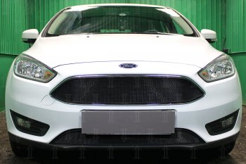 2 769 р. Защитная сетка в бампер (низ, ячейка 3х7 мм) Alfeco Стандарт  Ford Focus  3 (2014-2019) седан рестайлинг, универсал рестайлинг, хэтчбэк рестайлинг (Чёрная)  с доставкой в г. Омск. Увеличить фотографию 1