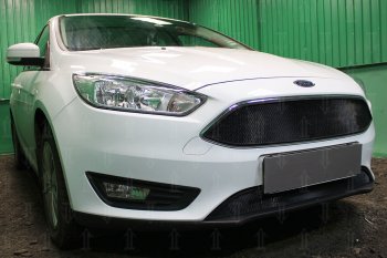 2 769 р. Защитная сетка в бампер (низ, ячейка 3х7 мм) Alfeco Стандарт  Ford Focus  3 (2014-2019) седан рестайлинг, универсал рестайлинг, хэтчбэк рестайлинг (Чёрная)  с доставкой в г. Омск. Увеличить фотографию 2