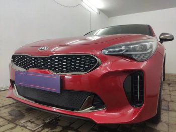 3 199 р. Защитная сетка в бампер (низ, ячейка 3х7 мм) Alfeco Стандарт  KIA Stinger (2017-2024) (Чёрная)  с доставкой в г. Омск. Увеличить фотографию 4