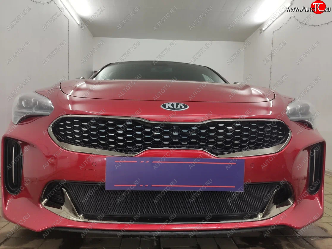 3 199 р. Защитная сетка в бампер (низ, ячейка 3х7 мм) Alfeco Стандарт  KIA Stinger (2017-2024) (Чёрная)  с доставкой в г. Омск