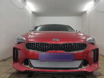 3 399 р. Защитная сетка в бампер (низ, ячейка 3х7 мм) Alfeco Стандарт  KIA Stinger (2017-2024) (Хром)  с доставкой в г. Омск. Увеличить фотографию 1