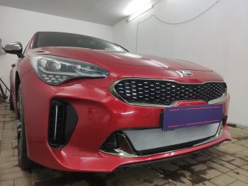 3 399 р. Защитная сетка в бампер (низ, ячейка 3х7 мм) Alfeco Стандарт  KIA Stinger (2017-2024) (Хром)  с доставкой в г. Омск. Увеличить фотографию 3