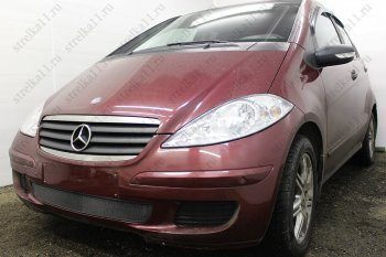 3 099 р. Защитная сетка в бампер (низ, ячейка 3х7 мм) Alfeco Стандарт  Mercedes-Benz A class  W169 (2005-2008) дорестайлинг, хэтчбэк 5 дв. (Чёрная)  с доставкой в г. Омск. Увеличить фотографию 2