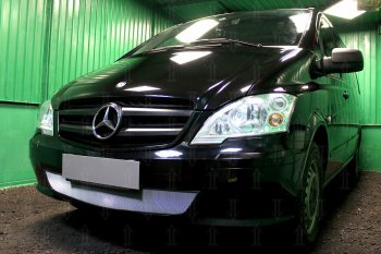 3 099 р. Защитная сетка в бампер (низ, ячейка 3х7 мм) Alfeco Стандарт  Mercedes-Benz Vito  W639 (2010-2014) рестайлинг (Хром)  с доставкой в г. Омск. Увеличить фотографию 3