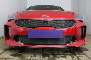 5 999 р. Защитная сетка в бампер (верх, ячейка 4х10 мм) Alfeco Премиум KIA Stinger (2017-2025) (Чёрная)  с доставкой в г. Омск. Увеличить фотографию 4