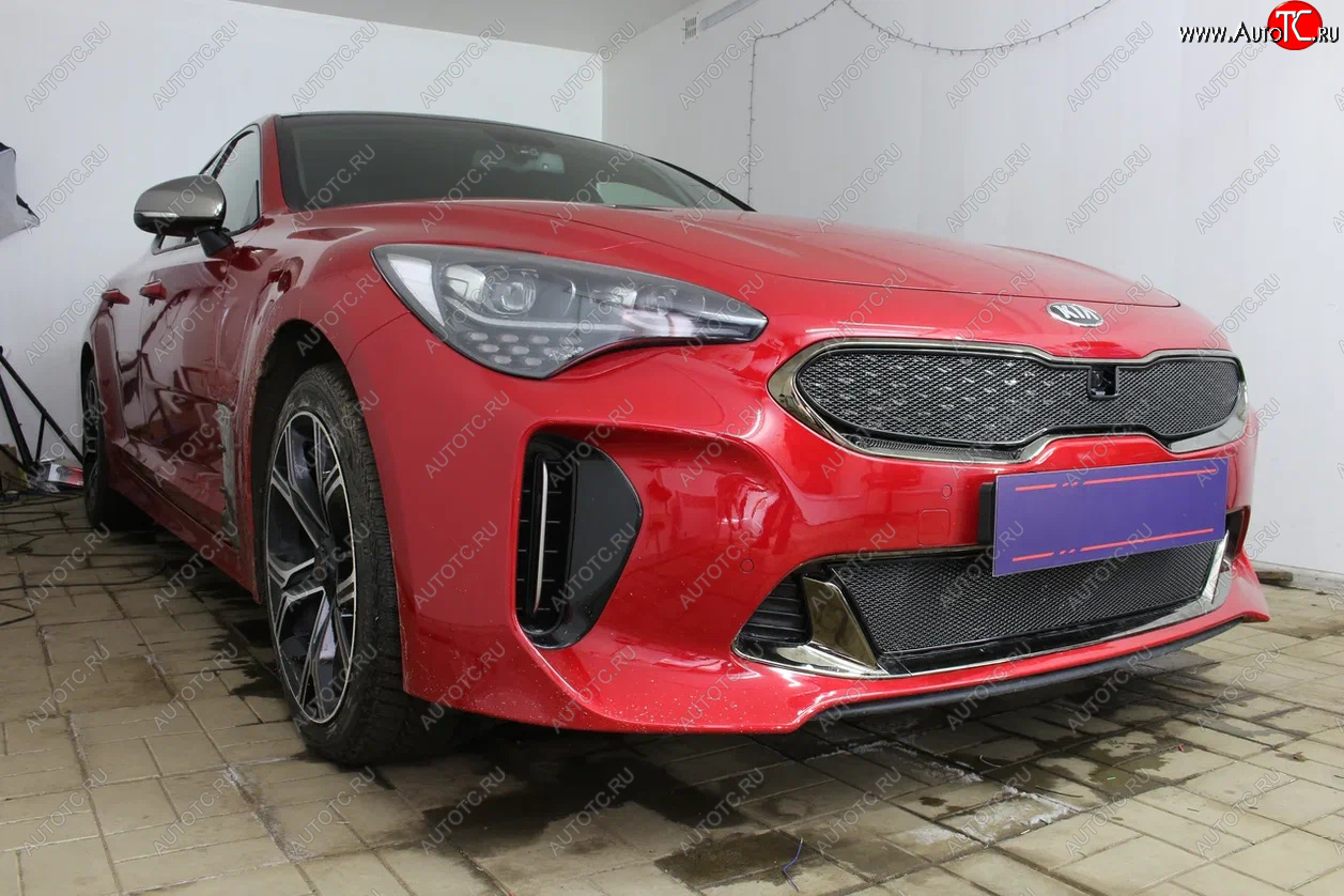 5 999 р. Защитная сетка в бампер (верх, ячейка 4х10 мм) Alfeco Премиум KIA Stinger (2017-2025) (Чёрная)  с доставкой в г. Омск