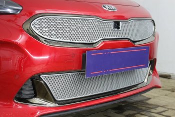 6 299 р. Защитная сетка в бампер (верх, ячейка 4х10 мм) Alfeco Премиум KIA Stinger (2017-2025) (Хром)  с доставкой в г. Омск. Увеличить фотографию 4