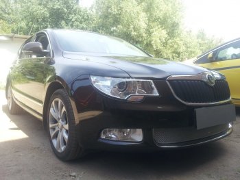 4 299 р. Защитная сетка в бампер (низ, ячейка 4х10 мм) Стрелка11 Премиум Skoda Superb B6 (3T5) универсал доресталийнг (2009-2013) (Хром)  с доставкой в г. Омск. Увеличить фотографию 2