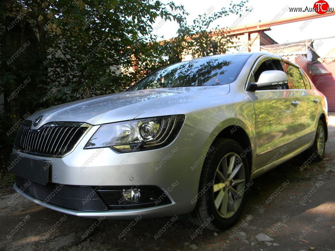 4 599 р. Защитная сетка в бампер (низ, ячейка 4х10 мм) Стрелка11 Премиум Skoda Superb (B6) 3T лифтбэк рестайлинг (2013-2015) (Чёрная)  с доставкой в г. Омск