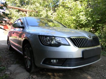 4 599 р. Защитная сетка в бампер (низ, ячейка 4х10 мм) Стрелка11 Премиум Skoda Superb (B6) 3T лифтбэк рестайлинг (2013-2015) (Чёрная)  с доставкой в г. Омск. Увеличить фотографию 3