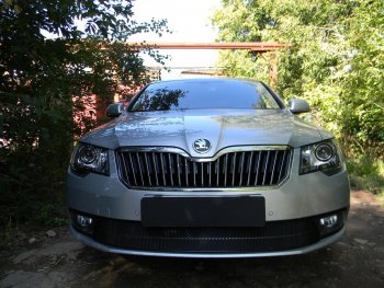 4 599 р. Защитная сетка в бампер (низ, ячейка 4х10 мм) Стрелка11 Премиум Skoda Superb (B6) 3T лифтбэк рестайлинг (2013-2015) (Чёрная)  с доставкой в г. Омск. Увеличить фотографию 2