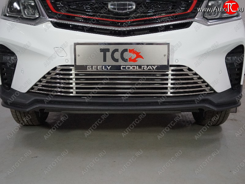 12 749 р. Декоративная вставка бампера (12 мм) ТСС Тюнинг  Geely Coolray  SX11 (2018-2025) дорестайлинг, рестайлинг  с доставкой в г. Омск