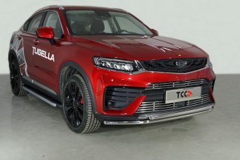 Защита переднего бампера нижняя двойная 42,4*42,4 мм ТСС Тюнинг Geely Tugella FY11,HPBA4 рестайлинг (2022-2024)  (нержавейка)