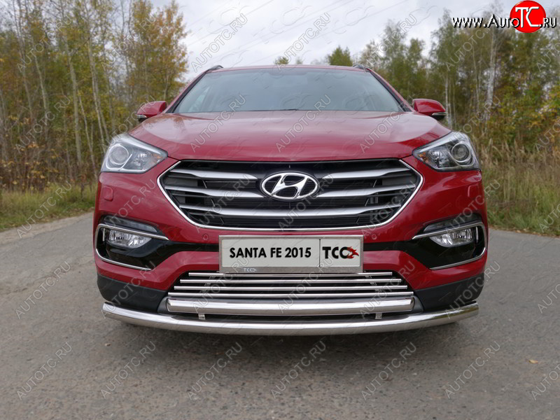 9 349 р. Декоративная вставка решетки радиатора (Premium) ТСС Тюнинг  Hyundai Santa Fe  DM (2015-2019) рестайлинг (d 16 мм)  с доставкой в г. Омск