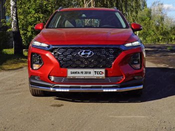 Защита переднего бампера нижняя с ДХО 60,3 мм ТСС Тюнинг Hyundai Santa Fe TM дорестайлинг (2018-2021)  (нержавейка)